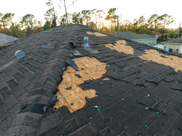Best Solar Panel Roofing Installation  in Sun Valley, PA