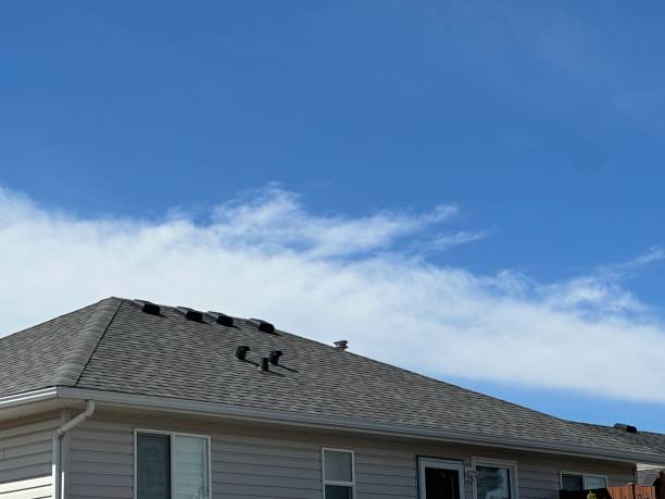 Best Roof Maintenance and Cleaning  in Sun Valley, PA
